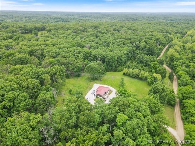 31126 Copperfield Rd, Gravois Mills, MO 65037 - photo 44