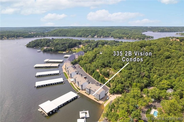 335 Vision Dr Unit 2B, Camdenton, MO 65020 - drone / aerial view of a heavily wooded area and a nearby body of water