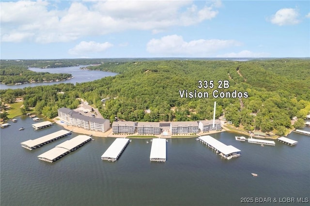 335 Vision Dr Unit 2B, Camdenton, MO 65020 - bird's eye view of a forest and a large body of water