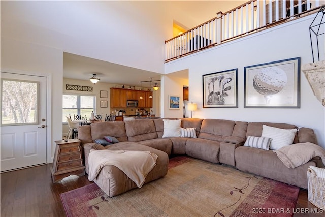 915 Bear Cave Way, Camdenton, MO 65020 - living room with hardwood / wood-style flooring and a towering ceiling