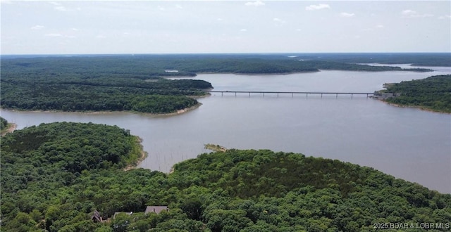 29720 Uu Hwy, Warsaw, MO 65355 - bird's eye view of a forest and a nearby body of water