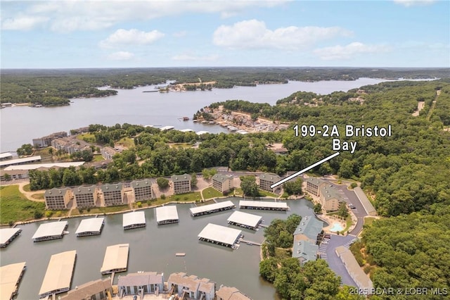 199 Bristol Bay Dr Unit 2A, Lake Ozark, MO 65049 - drone / aerial view of a large body of water and a forest