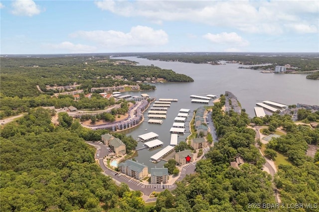 199 Bristol Bay Dr Unit 2A, Lake Ozark, MO 65049 - photo 31