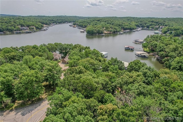 108 Lakeview Ct, Four Seasons, MO 65049 - photo 40