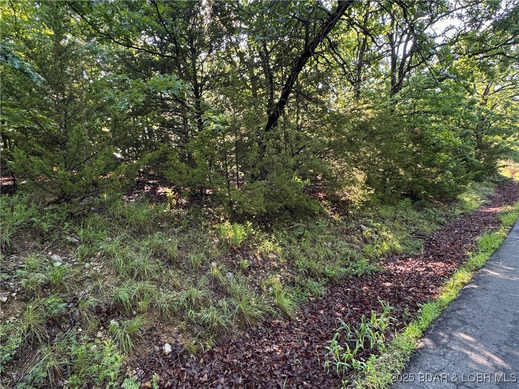 TBD Storm Cove Dr, Linn Creek, MO 65052