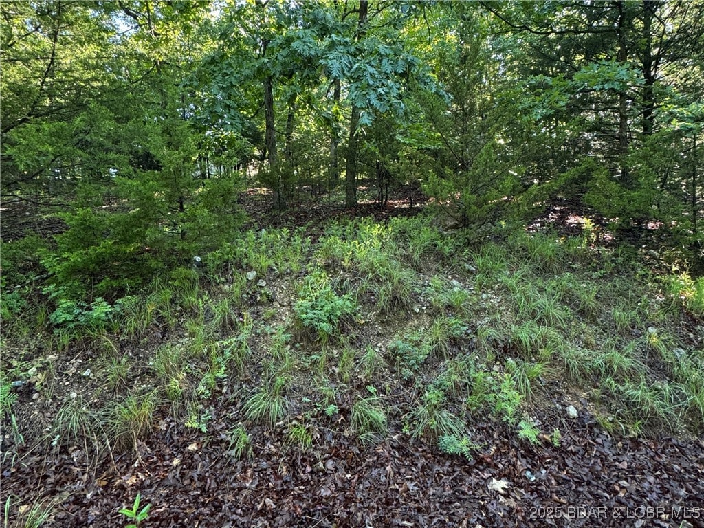 TBD Storm Cove Dr, Linn Creek, MO 65052
