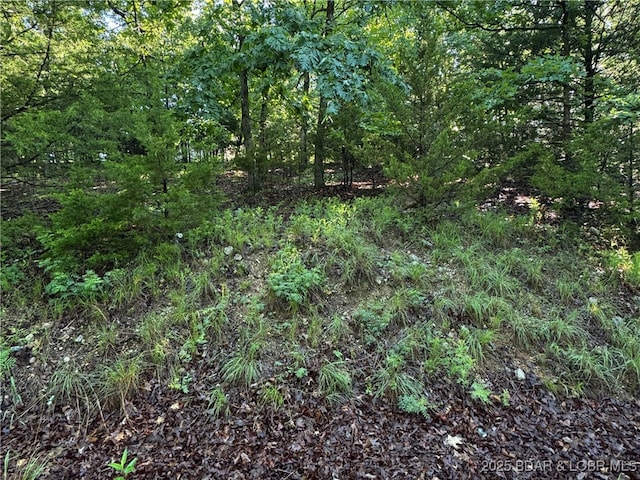 TBD Storm Cove Dr, Linn Creek, MO 65052