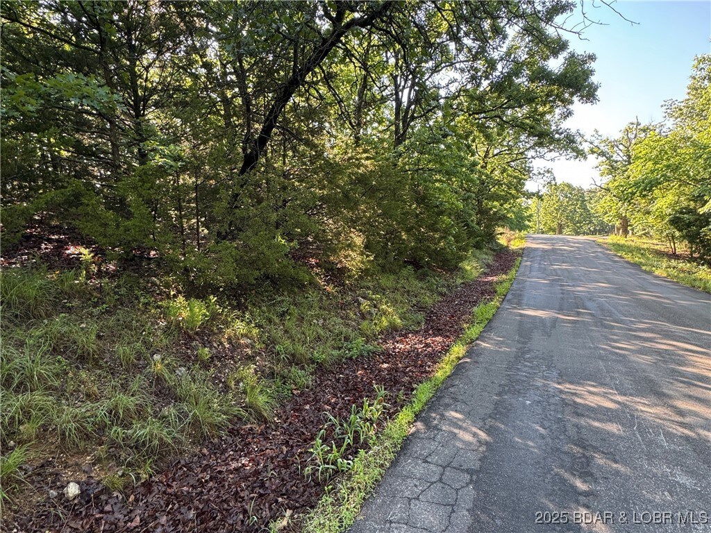 TBD Storm Cove Dr, Linn Creek, MO 65052