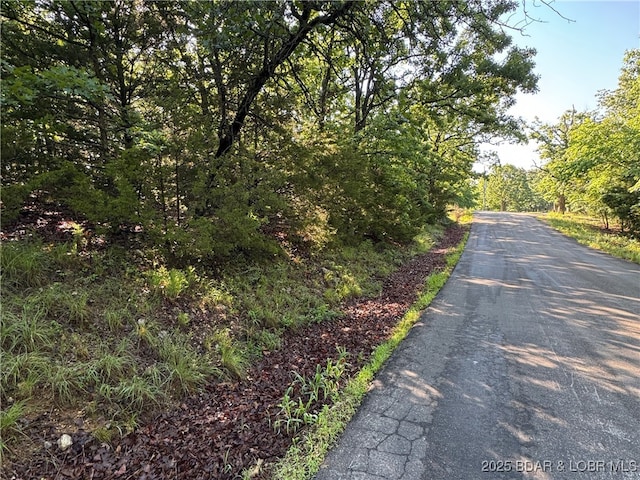 TBD Storm Cove Dr, Linn Creek, MO 65052