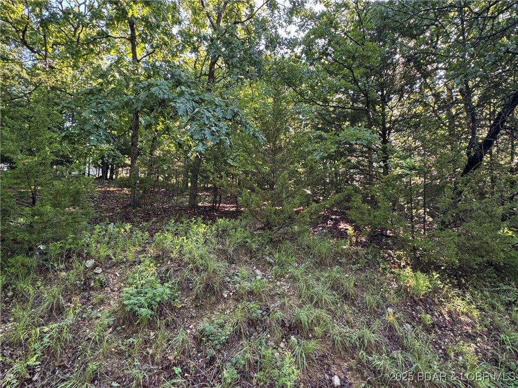 TBD Storm Cove Dr, Linn Creek, MO 65052