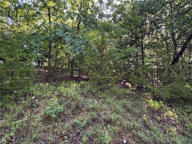 TBD Storm Cove Dr, Linn Creek, MO 65052