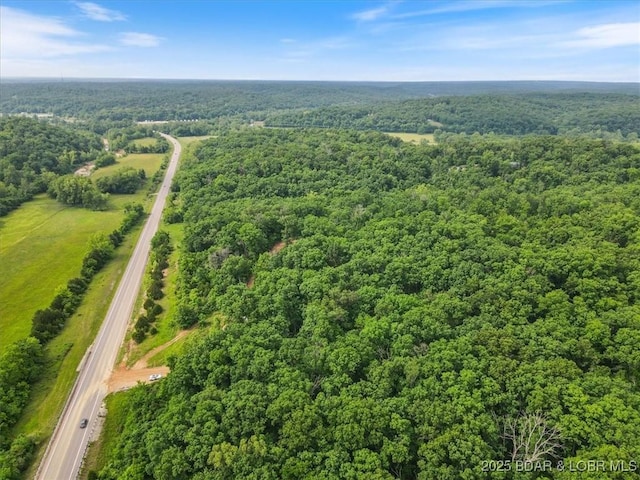 11188 Forest Dr, Versailles, MO 65084 - photo 1