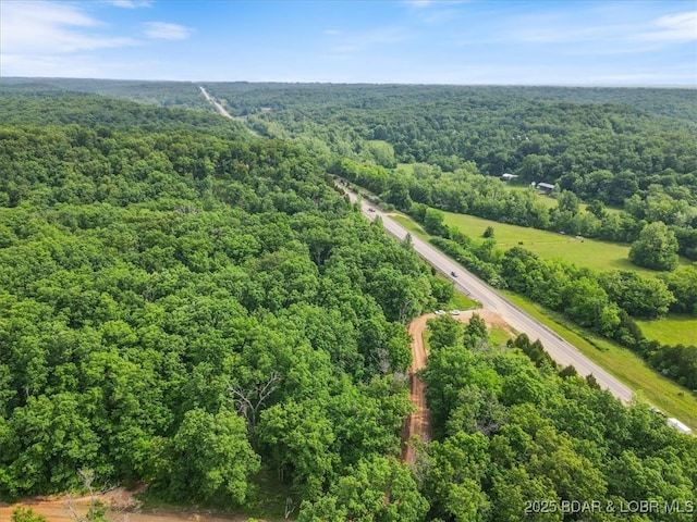 11188 Forest Dr, Versailles, MO 65084 - photo 2