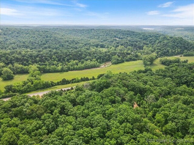 11188 Forest Dr, Versailles, MO 65084 - photo 6