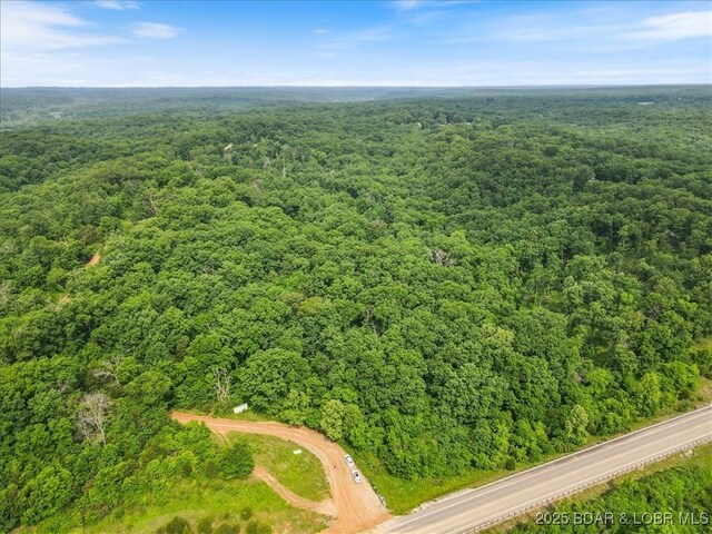 11188 Forest Dr, Versailles, MO 65084 - photo 7