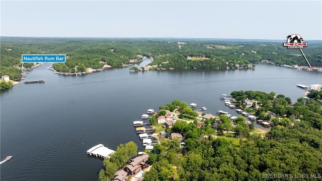 149 Sycamore Beach Rd Unit C1, Camdenton, MO 65020 - aerial view of a forest and a large body of water