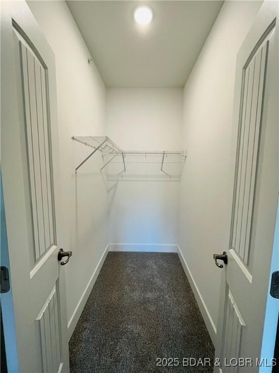 295 Highland Shores Dr Unit 2D, Lake Ozark, MO 65049 - spacious closet featuring dark carpet