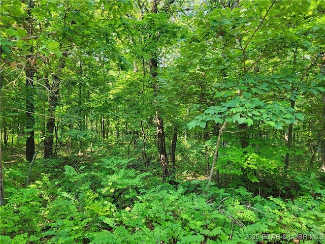 Kean Ln Lot 2371, Edwards, MO 65326 - photo 1