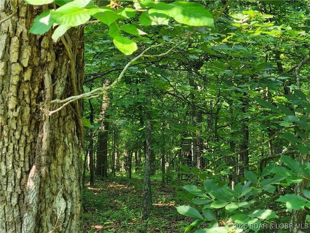 Kean Ln Lot 2371, Edwards, MO 65326 - photo 2
