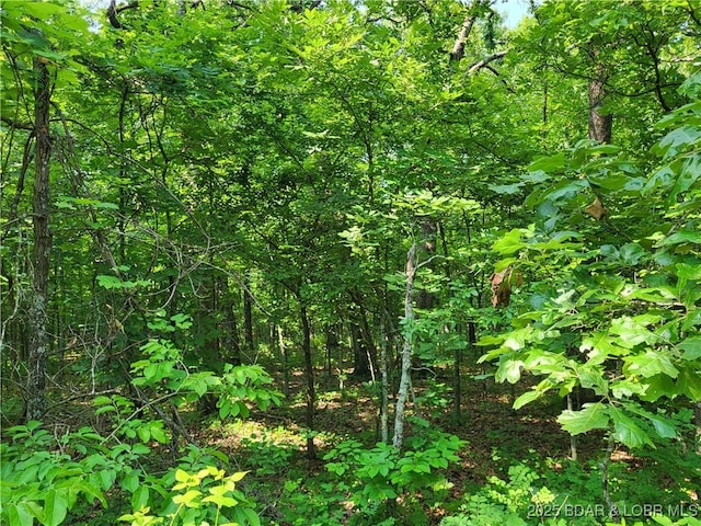 Kean Ln Lot 2371, Edwards, MO 65326 - photo 3