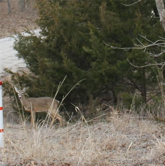 Kean Ln Lot 2371, Edwards, MO 65326 - photo 6
