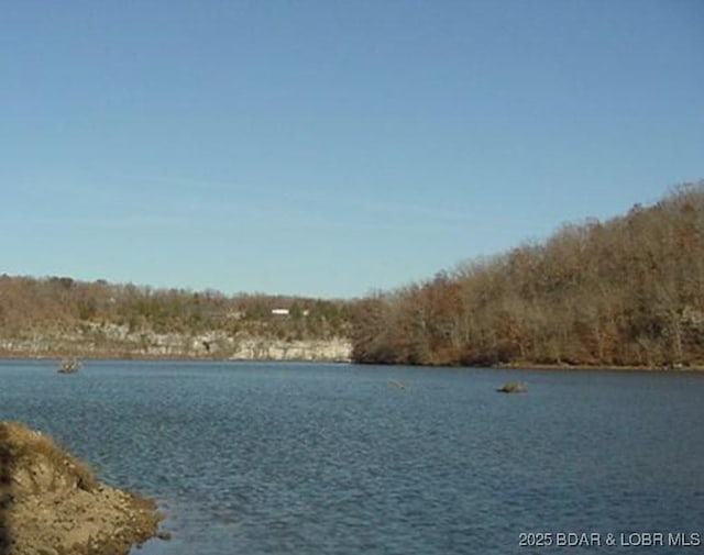 Kean Ln Lot 2371, Edwards, MO 65326 - photo 8