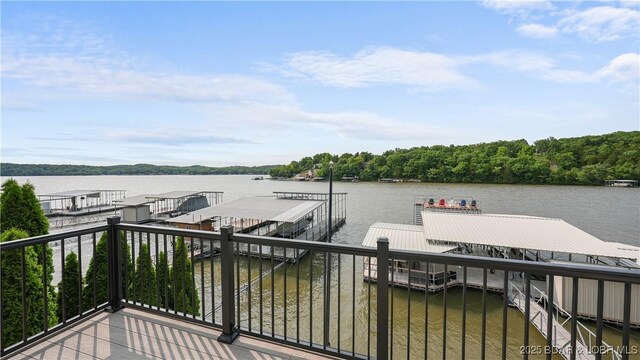 487 S Beach Blvd, Sunrise Beach, MO 65079 - photo 39