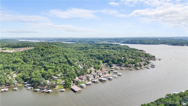 487 S Beach Blvd, Sunrise Beach, MO 65079 - photo 50