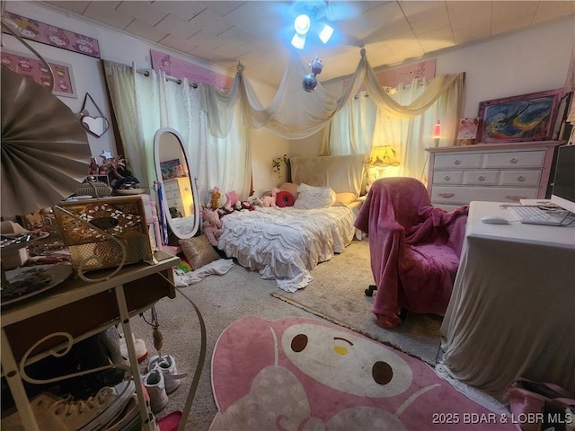 159 Tonka Shady Ln, Camdenton, MO 65020 - view of carpeted bedroom