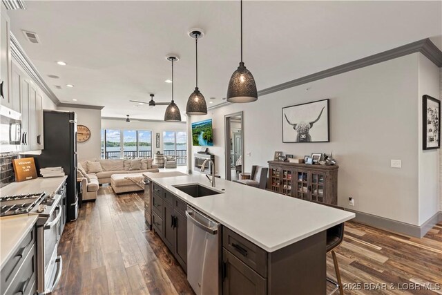 1184 Jeffries Rd Unit 312, Osage Beach, MO 65065 - kitchen with a sink, stainless steel appliances, open floor plan, dark wood finished floors, and ornamental molding
