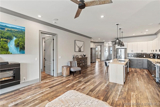 1184 Jeffries Rd Unit 312, Osage Beach, MO 65065 - kitchen featuring appliances with stainless steel finishes, crown molding, a sink, wood finished floors, and a ceiling fan