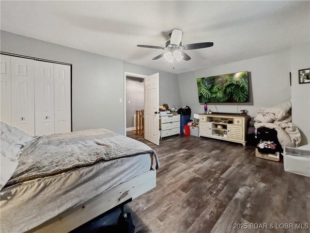 75 Central Hill Rd, Eldon, MO 65026 - bedroom featuring dark wood finished floors, a closet, and a ceiling fan