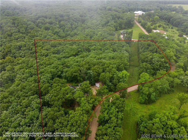 75 Central Hill Rd, Eldon, MO 65026 - aerial view of property's location featuring a forest and property parcel outlined