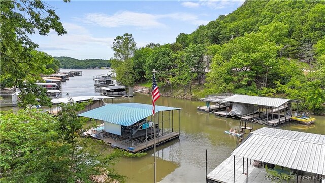 205 Northshore Dr, Gravois Mills, MO 65037 - photo 42