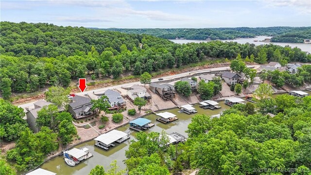 205 Northshore Dr, Gravois Mills, MO 65037 - photo 44
