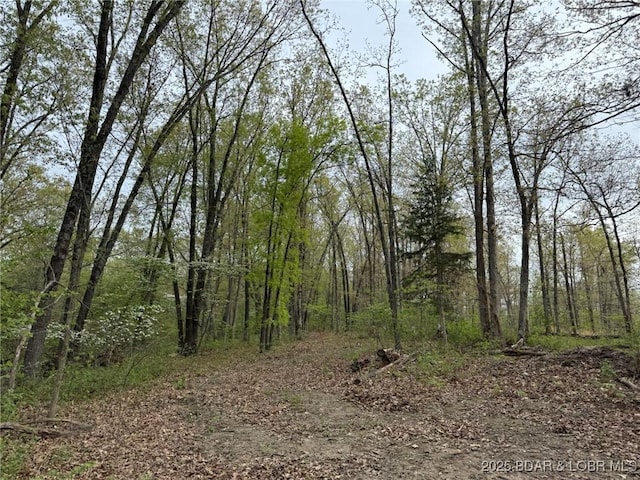 Burkle Pond Rd, Eldon, MO 65026