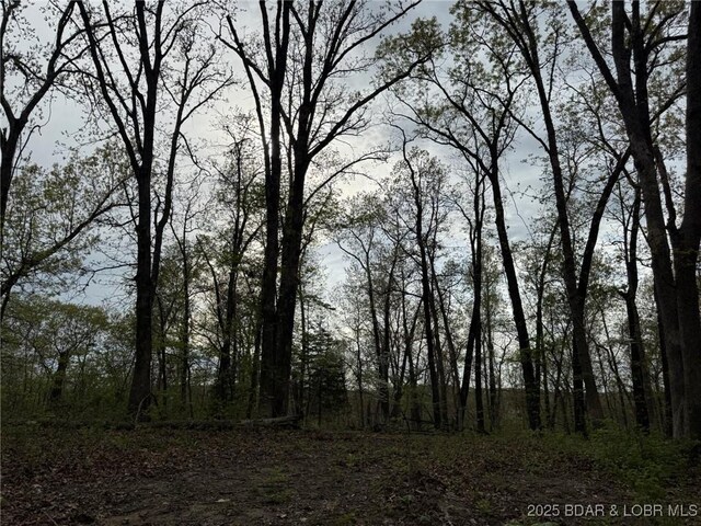 Burkle Pond Rd, Eldon, MO 65026
