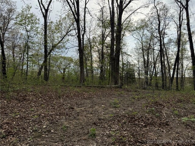Burkle Pond Rd, Eldon, MO 65026