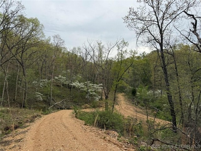 Burkle Pond Rd, Eldon, MO 65026