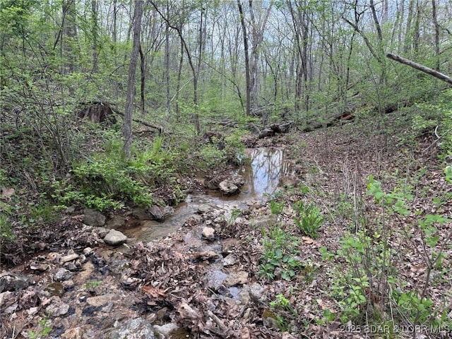 Burkle Pond Rd, Eldon, MO 65026