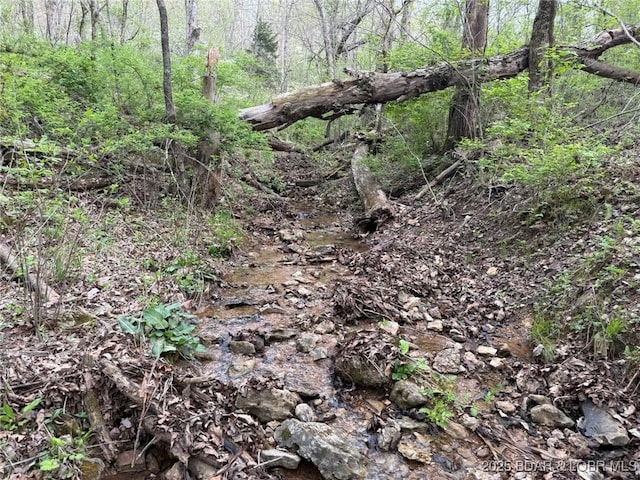 Burkle Pond Rd, Eldon, MO 65026