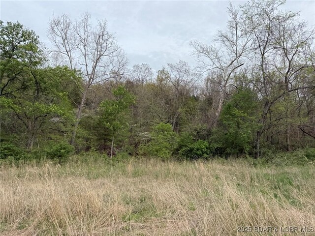 Burkle Pond Rd, Eldon, MO 65026