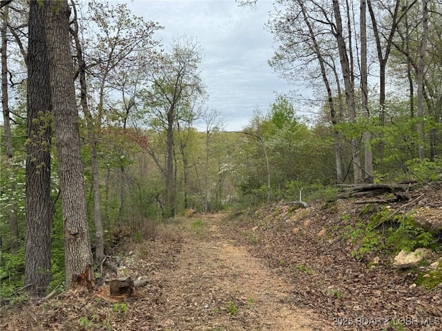 Burkle Pond Rd, Eldon, MO 65026