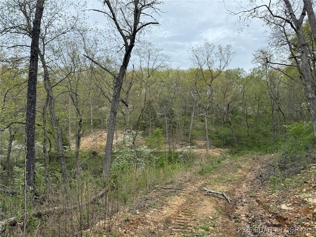 Burkle Pond Rd, Eldon, MO 65026
