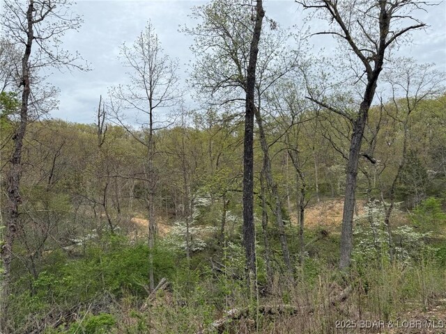Burkle Pond Rd, Eldon, MO 65026