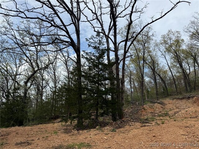 Burkle Pond Rd, Eldon, MO 65026