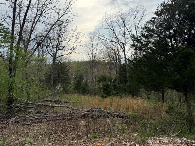 Burkle Pond Rd, Eldon, MO 65026