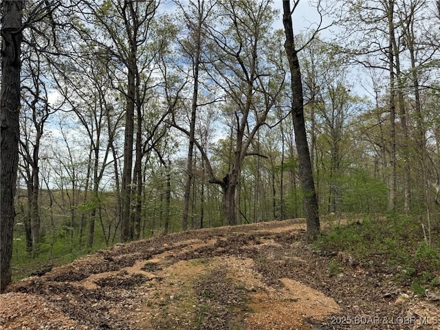 Burkle Pond Rd, Eldon, MO 65026