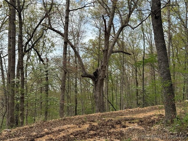 Burkle Pond Rd, Eldon, MO 65026