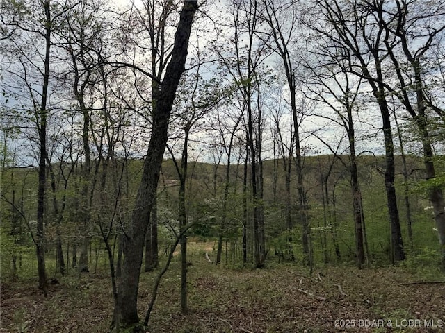 Burkle Pond Rd, Eldon, MO 65026